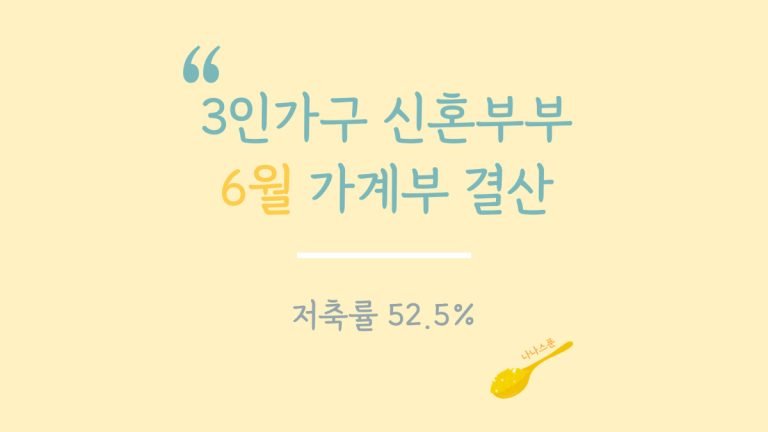 6월 신혼부부 3인가족 가계부 결산을 보여주는 글의 특성이미지
